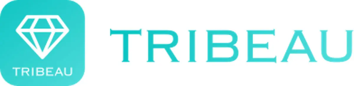 kireirepo