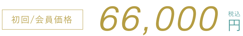 初回/会員価格66,000円