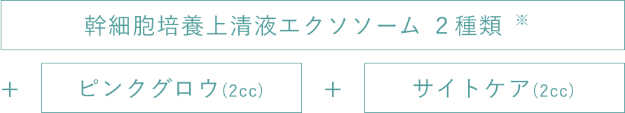 幹細胞培養上清液エクソソーム １種類+ピンクグロウ(2cc)+サイトケア(2cc)